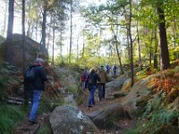 2016-10-09 Les gorges d Apremont 0022